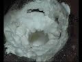 Instructional Video \"Easiest Way to Remove Drain Flies \"