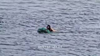 행사 관련 유튜브 영상