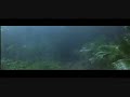 Lux Aeterna - Forrest Gump
