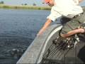 videos de Pond Fishing