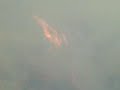 incendio torrox junio 2008 (2) incendio torrox junio 2008 (2)