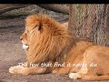 Petra: Road to Zion (with Lyrics)