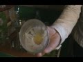 Ramunių kolekcija „Ramunynas