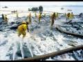 la catastrophe de l'Exxon Valdez