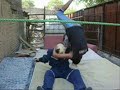 lucha libre chilena  exterminio 