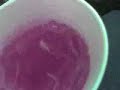 200 dollar cups