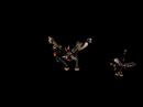 Spore Creature Creator Video