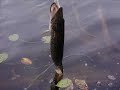 Quetico Park Fishing Quetico Park Fishing