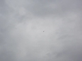 Jetfighter Aircraft buzzing overhead