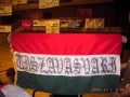Tiszavasvári Kézilabda induló