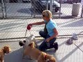 HOWARD DOES NOT WANT LEAVE THE DOG PARK!!!!