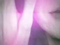 Jann Wilde & The Neon Comets - Neon City Rockers