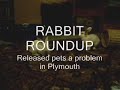 lee raiche was surprised to see a rabbit in his cedarville neighborhood and even more shocked when the rabbits kept coming --  more than 30 in all.
   ``all of a sudden they appeared and they were eating everything in sight, to the point where we can't plant annual flowers,'' raiche said. ``they're cute little things, but a nuisance.''
   in march, raiche and his neighbors in long pond village, an over-55 community, called the house rabbit network for help. the network, a volunteer, nonprofit organization, captures stray rabbits throughout the state and finds safe homes for them.
   ``the first time we went down there, we didn't even drive a block before we saw a rabbit,'' said liz orenstein, a quincy resident who has been a house rabbit network volunteer for three years.
    the population may have come from a breeder's rabbits that were released or escaped into the wild, orenstein said.
   the network has found 28 rabbits in the vicinity of long pond village, making it the largest capture in the organization's 10-year history. orenstein and other volunteers will be traveling to plymouth this weekend  because neighborhood residents reported seeing five more rabbits in the area.
   the rabbits were lucky to find a relatively safe, quiet neighborhood with lots of woodland, a pond and few cats, dogs or other predators, she said.
   ``it's very, very rare to end up with a place where domesticated rabbits can survive,'' orenstein said. ``''
   rabbits, which live six to 10 years, make great pets but require care and attention, she said.
   ``they're smart, clever, curious and social,'' orenstein said. ``they get upset if they don't have time with their family.''
   orenstein is pleased that the network has found new homes for two-thirds of the rabbits captured in plymouth.
   ``i hate to see these guys sit waiting for an adoption,'' she said.
   to report a domesticated rabbit sighting or for more information about the house rabbit network, call 781-431-1211.
