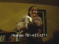 lee raiche was surprised to see a rabbit in his cedarville neighborhood and even more shocked when the rabbits kept coming --  more than 30 in all.
   ``all of a sudden they appeared and they were eating everything in sight, to the point where we can't plant annual flowers,'' raiche said. ``they're cute little things, but a nuisance.''
   in march, raiche and his neighbors in long pond village, an over-55 community, called the house rabbit network for help. the network, a volunteer, nonprofit organization, captures stray rabbits throughout the state and finds safe homes for them.
   ``the first time we went down there, we didn't even drive a block before we saw a rabbit,'' said liz orenstein, a quincy resident who has been a house rabbit network volunteer for three years.
    the population may have come from a breeder's rabbits that were released or escaped into the wild, orenstein said.
   the network has found 28 rabbits in the vicinity of long pond village, making it the largest capture in the organization's 10-year history. orenstein and other volunteers will be traveling to plymouth this weekend  because neighborhood residents reported seeing five more rabbits in the area.
   the rabbits were lucky to find a relatively safe, quiet neighborhood with lots of woodland, a pond and few cats, dogs or other predators, she said.
   ``it's very, very rare to end up with a place where domesticated rabbits can survive,'' orenstein said. ``''
   rabbits, which live six to 10 years, make great pets but require care and attention, she said.
   ``they're smart, clever, curious and social,'' orenstein said. ``they get upset if they don't have time with their family.''
   orenstein is pleased that the network has found new homes for two-thirds of the rabbits captured in plymouth.
   ``i hate to see these guys sit waiting for an adoption,'' she said.
   to report a domesticated rabbit sighting or for more information about the house rabbit network, call 781-431-1211.