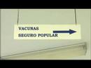 The Pulse - Japanese Encephalitis - 31 Dec 07- Ep10 - Pt 2 Encephalitis