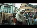 Faschingsumzug Dietzenbach 2010