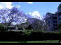 The Vikings - Kiki the Trumpet