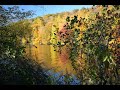 Autumn in Mount Kisco, Westchester County NY