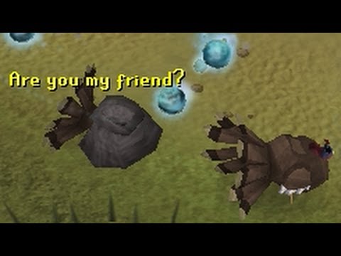 how to train divination