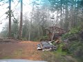 MVI_5541.avi