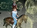 random breyer movie! random breyer movie!
