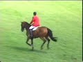 Qualit� vd Begijnakker - Hickstead 2004