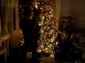 videos de MOV00067_DJ New Years Day_Jan 1-2009