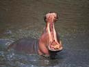 Kruger National Park Travel & Tours Photo Album Part 22