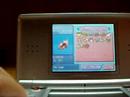 my pokemon on diamond version my pokemon on diamond version
