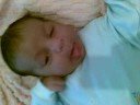 adam\ adam\