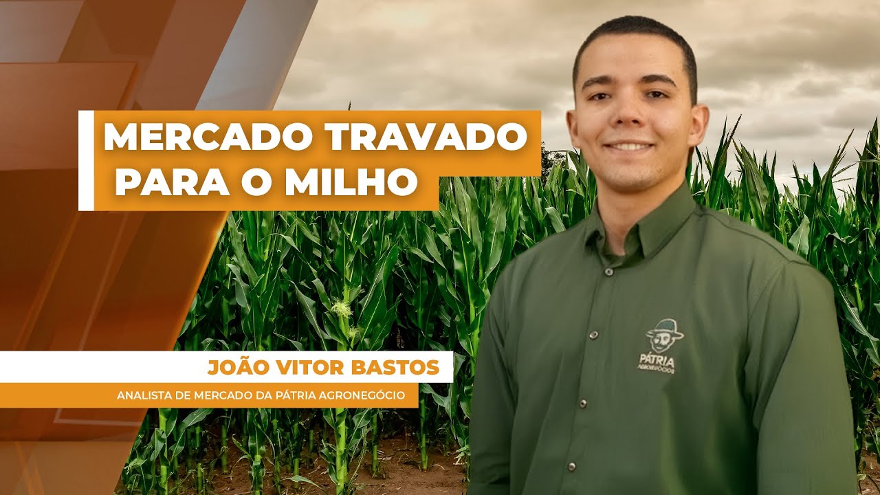 Mercado travado segura preços do milho no Brasil, mas já há sinais de volta da demanda