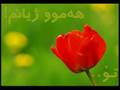 moin asfahany