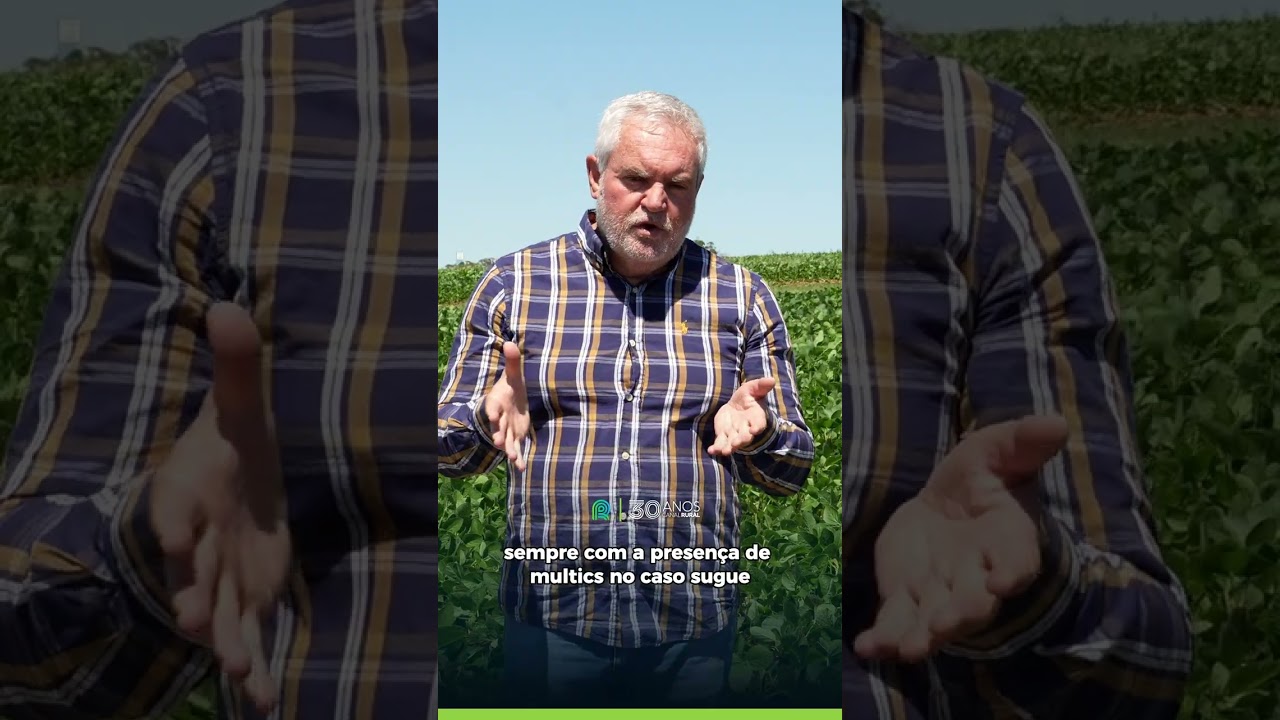 Manejo preventivo é chave contra doenças da soja