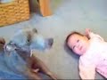 grandes paridas de la humanidad 9