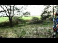 Bird On The Wire Noise Of A Quiet Man Official Music Video and Lyrics