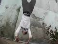 Hình minh họa 2