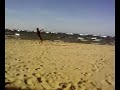 saut aile de traction : les videos voile