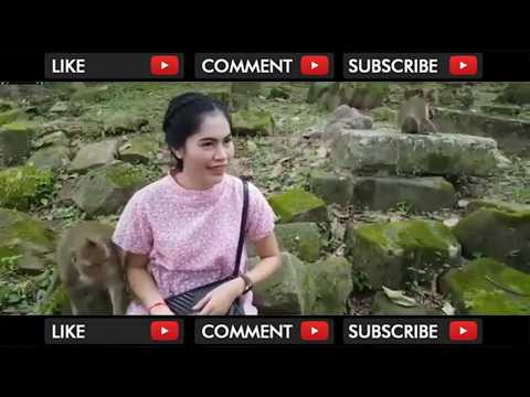 Download Video MONYET MESUM RAYU PEMBANTU CANTIK HINGGA DI GITUIN Download Video MONYET MESUM RAYU PEMBANTU CANTIK HINGGA DI GITUIN
