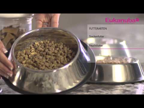 Das richtige Futter für Ihren kleinen Welpen  Eukanuba Welpen Videos mit Dr Wolf