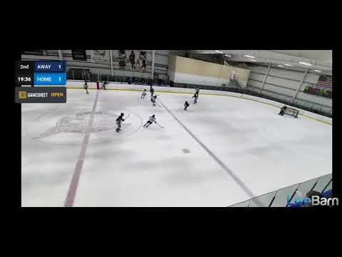 Semi Final Winning Goal 2024 Beast League