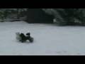 videos de 5 janvier 2009