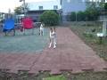 Basenji