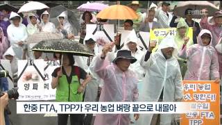 뉴스데스크