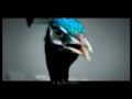 F.I.R. - 月牙灣