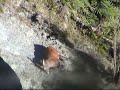 One Shot Kill One Shot Kill