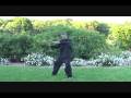 Yang style tai chi lesson 3 grasp sparrow PUSH