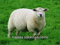 Ostala si uvjek ista Ostala si uvjek ista