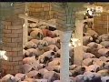 Makkah Taraweeh-(Night 16)-Sheikh Juhany