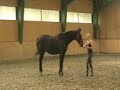 Leadership Training w/horses - Aug08