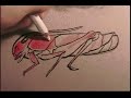 Red Grasshopper [drawing video]